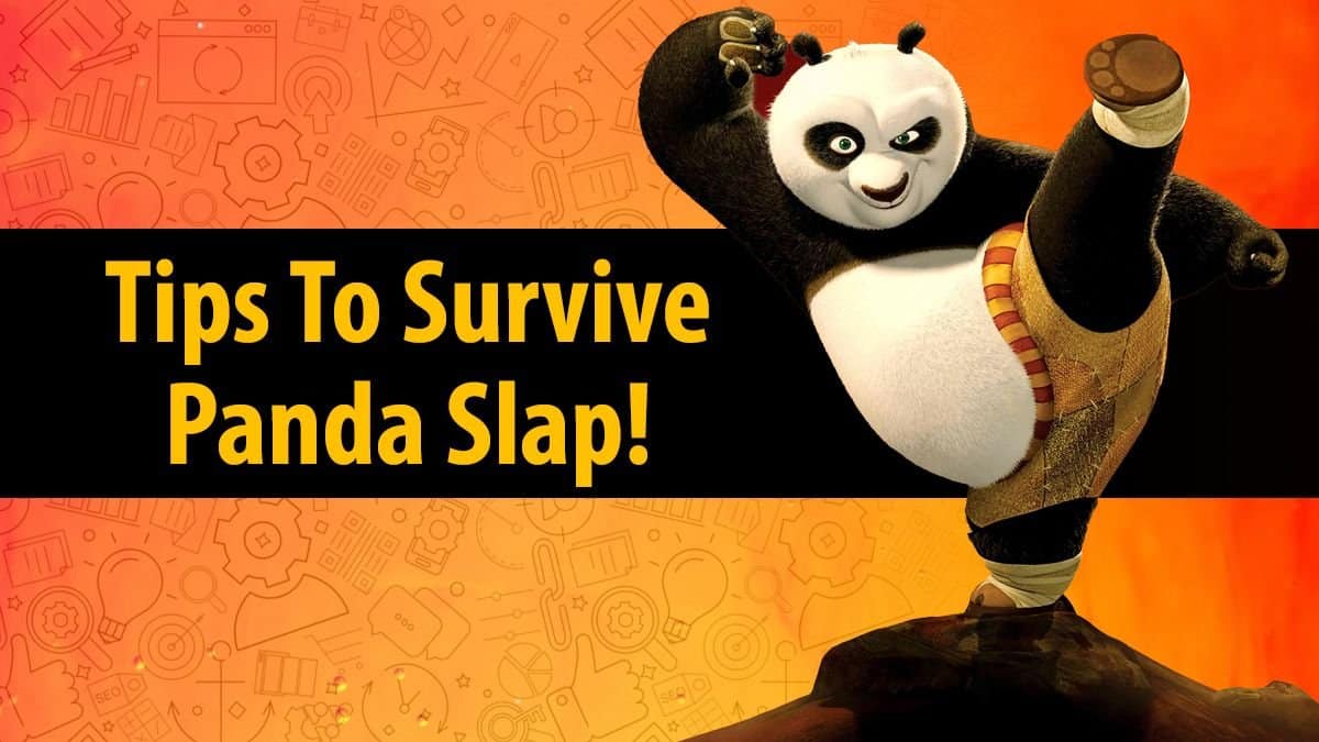 5 SEO Tips To Survive Panda Slap!